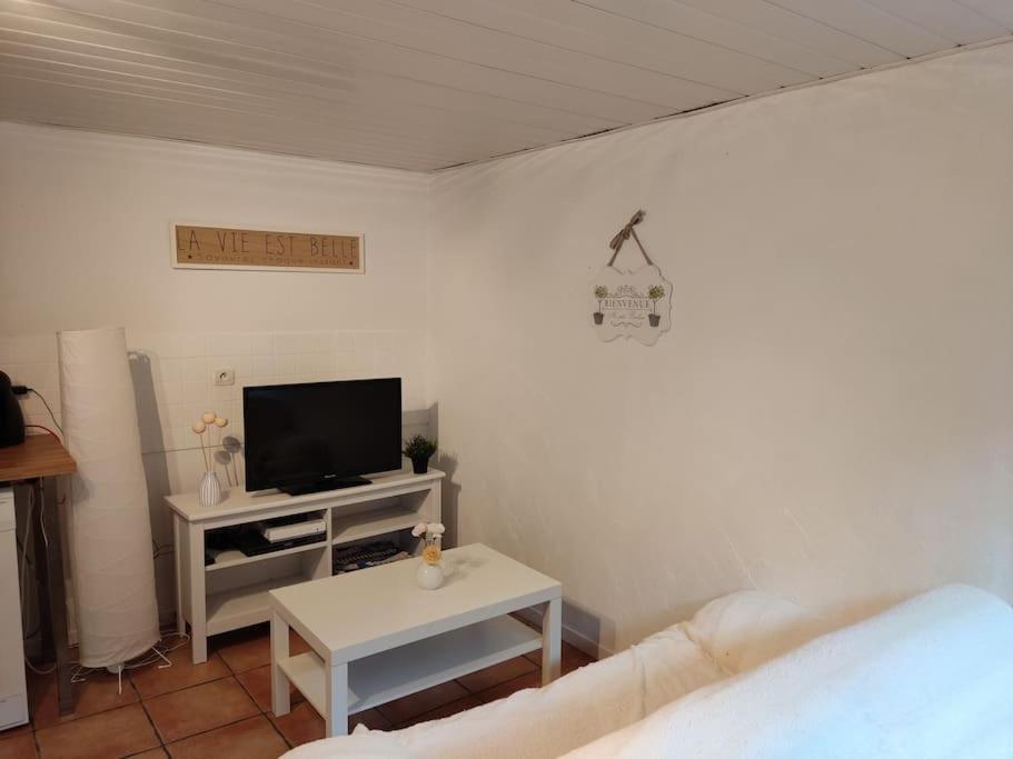 Appartement En Rez De Jardin Et Terrasse Ds Villa Hyères Zewnętrze zdjęcie